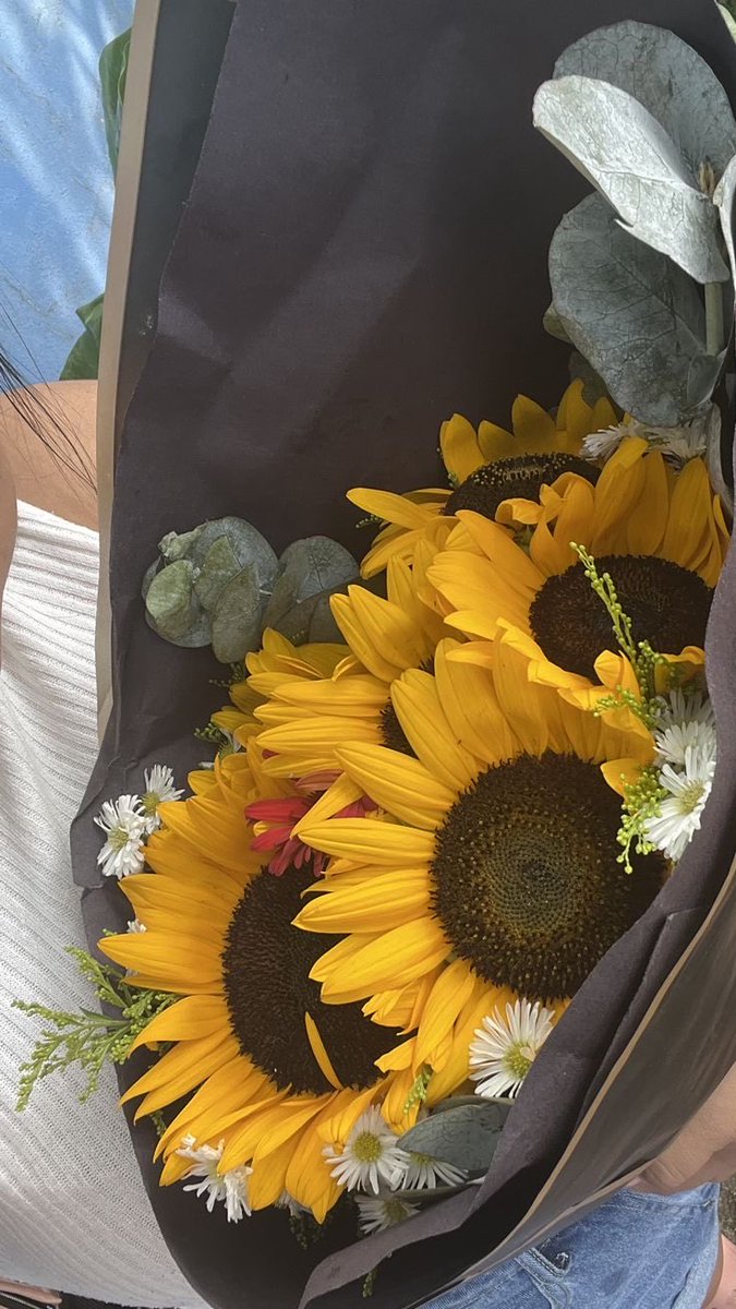 sunflowerchives's tweet photo. beautiful. https://t.co/vXvfrGgY18