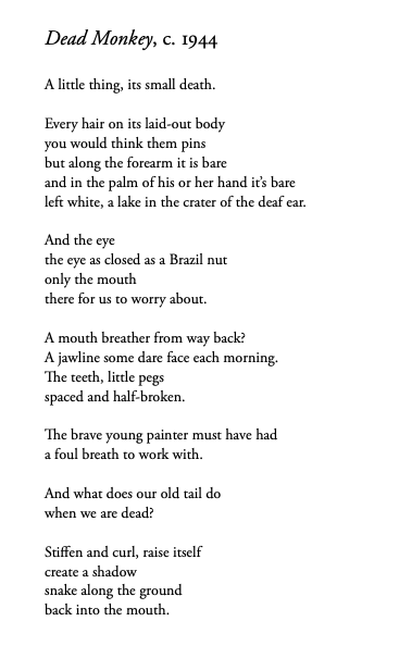 Barry Hill writing about Freud...