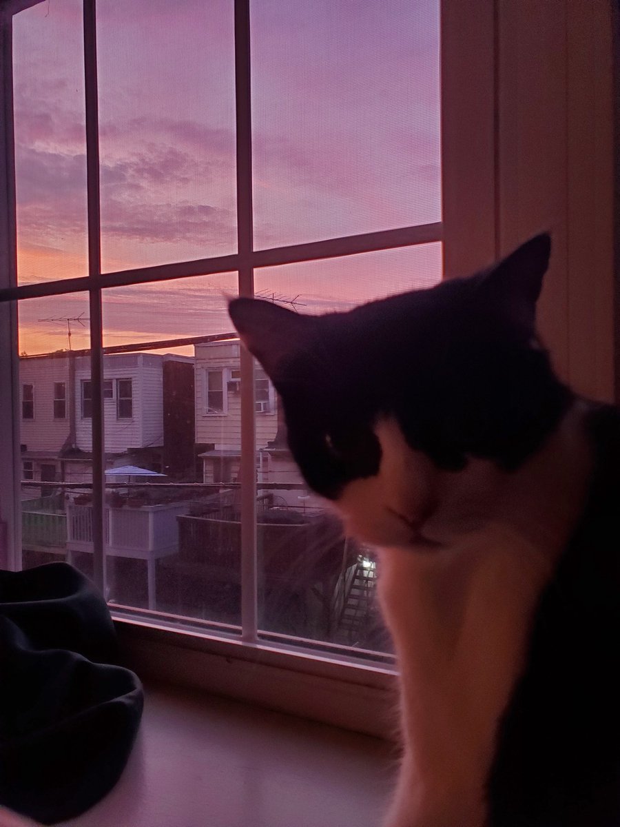 morgueline tweet media