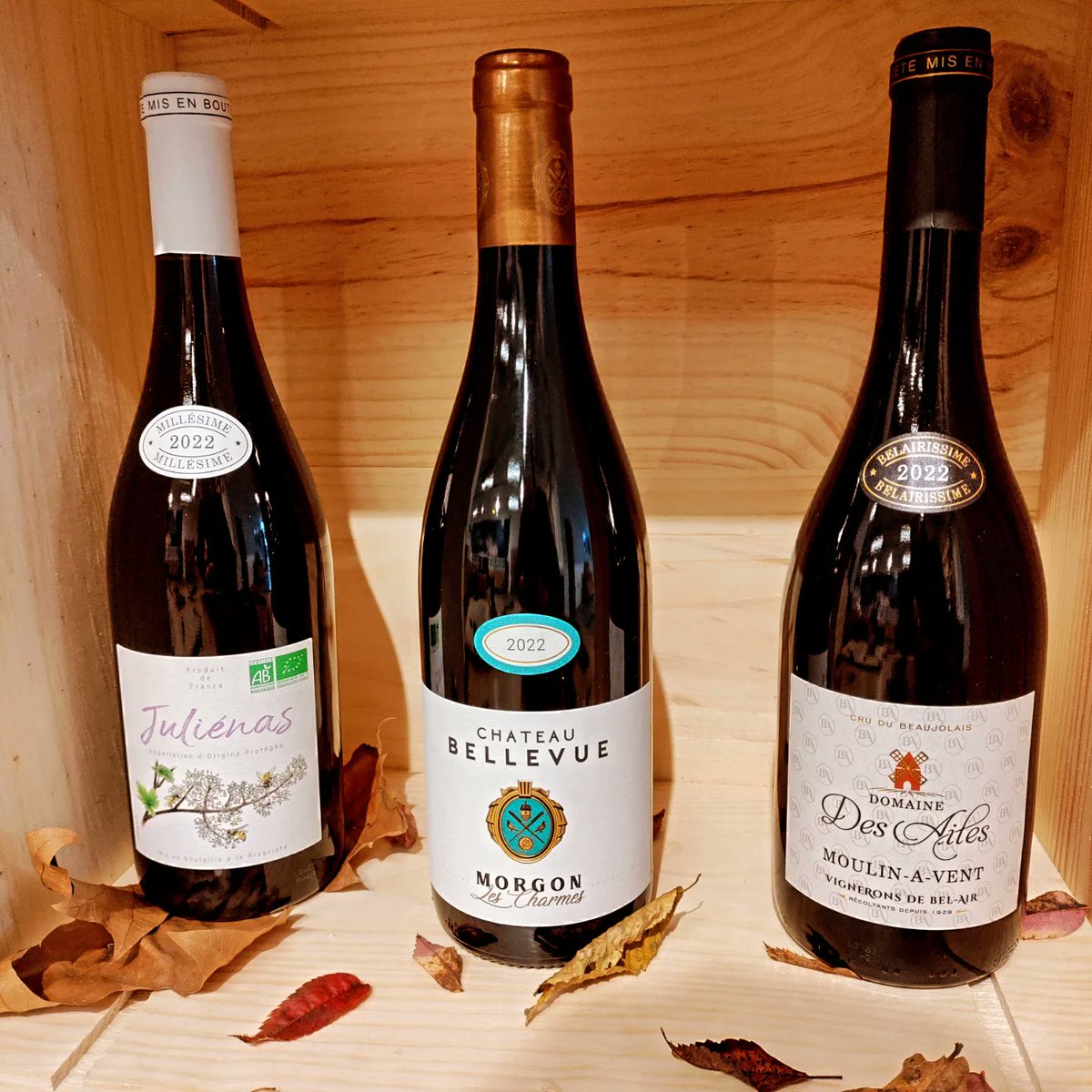 frazierjoneswm's tweet photo. 🍂🍷Experience all that Cru Beaujolais can offer with this month's Frazier's Grand Vineyard Collection  `Cru Beaujolais`.

🔗 For details check the link in our bio.

#Frazierswine #beaujolais #crubeaujolais #Solihull #shirley #knowle #dorridge #Birmingham https://t.co/ecWy6I3sjD