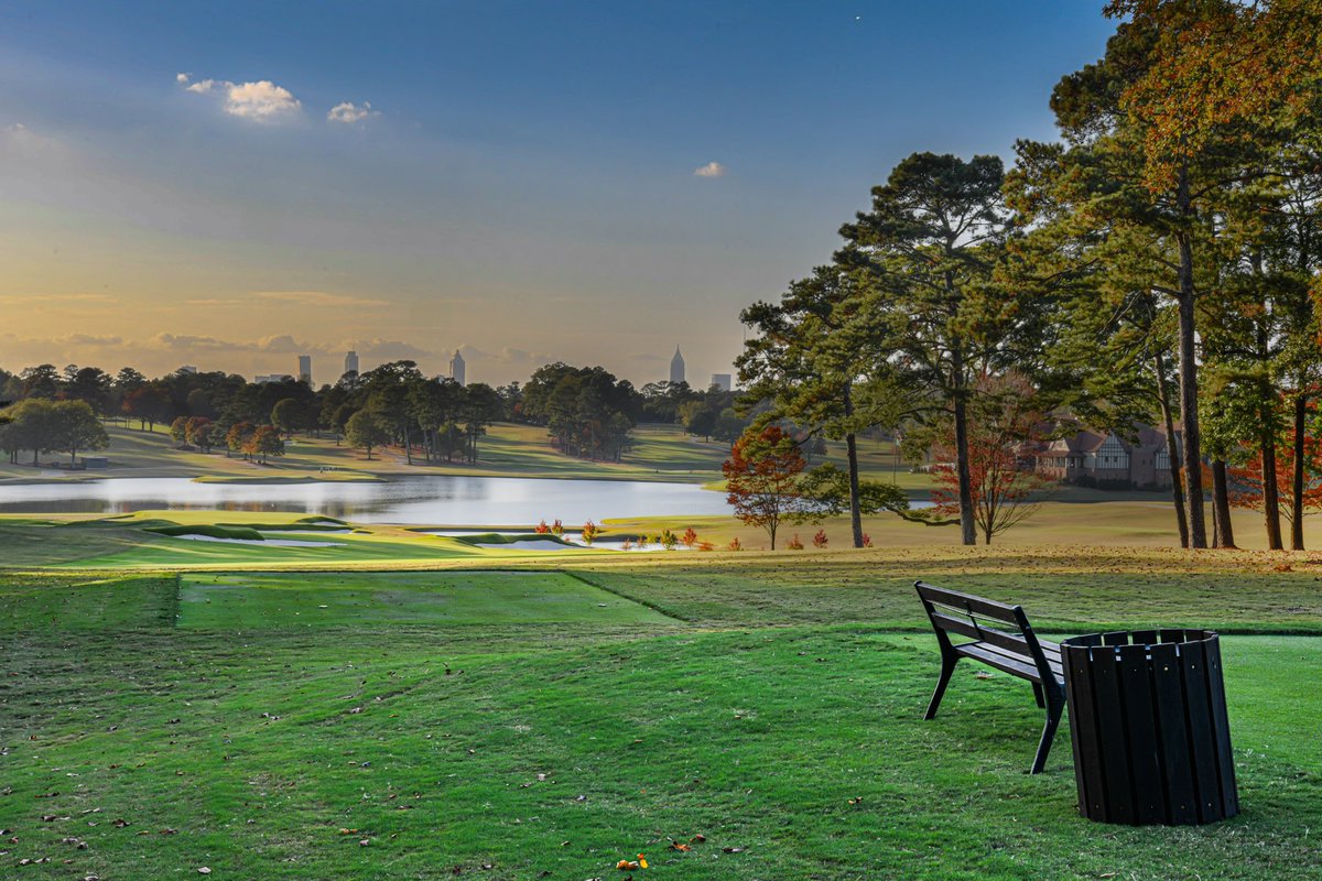 Cameron Lilly tweet media