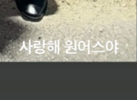 dadoo_kr's tweet photo. 사랑해 원어스야 🫶🏻 https://t.co/KgQDMksxkh