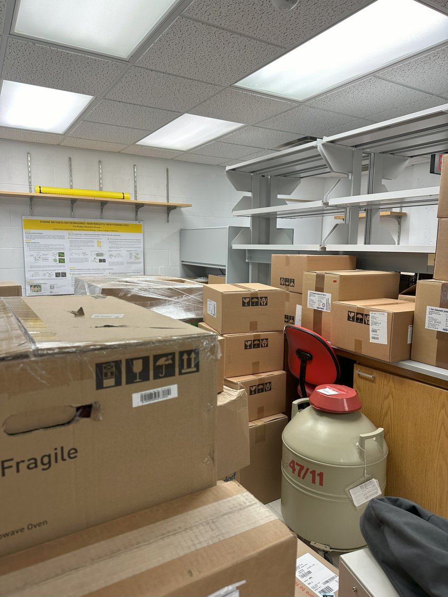 Pedley Research Group tweet media