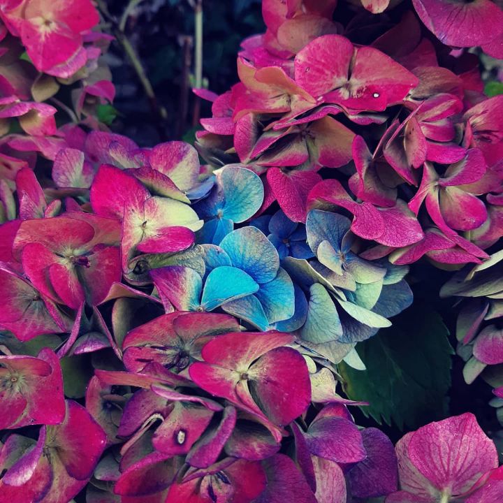 Coucou <a href="/Sophie28B/">So'</a> <a href="/PecqueuxA/">Anthony Pecqueux</a>