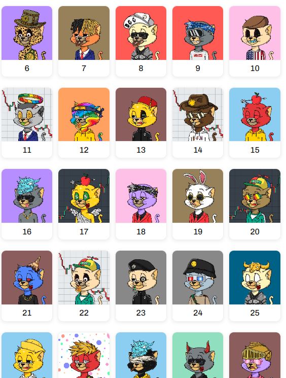 BORED CATZ CLUB | 404 | .CRO tweet media