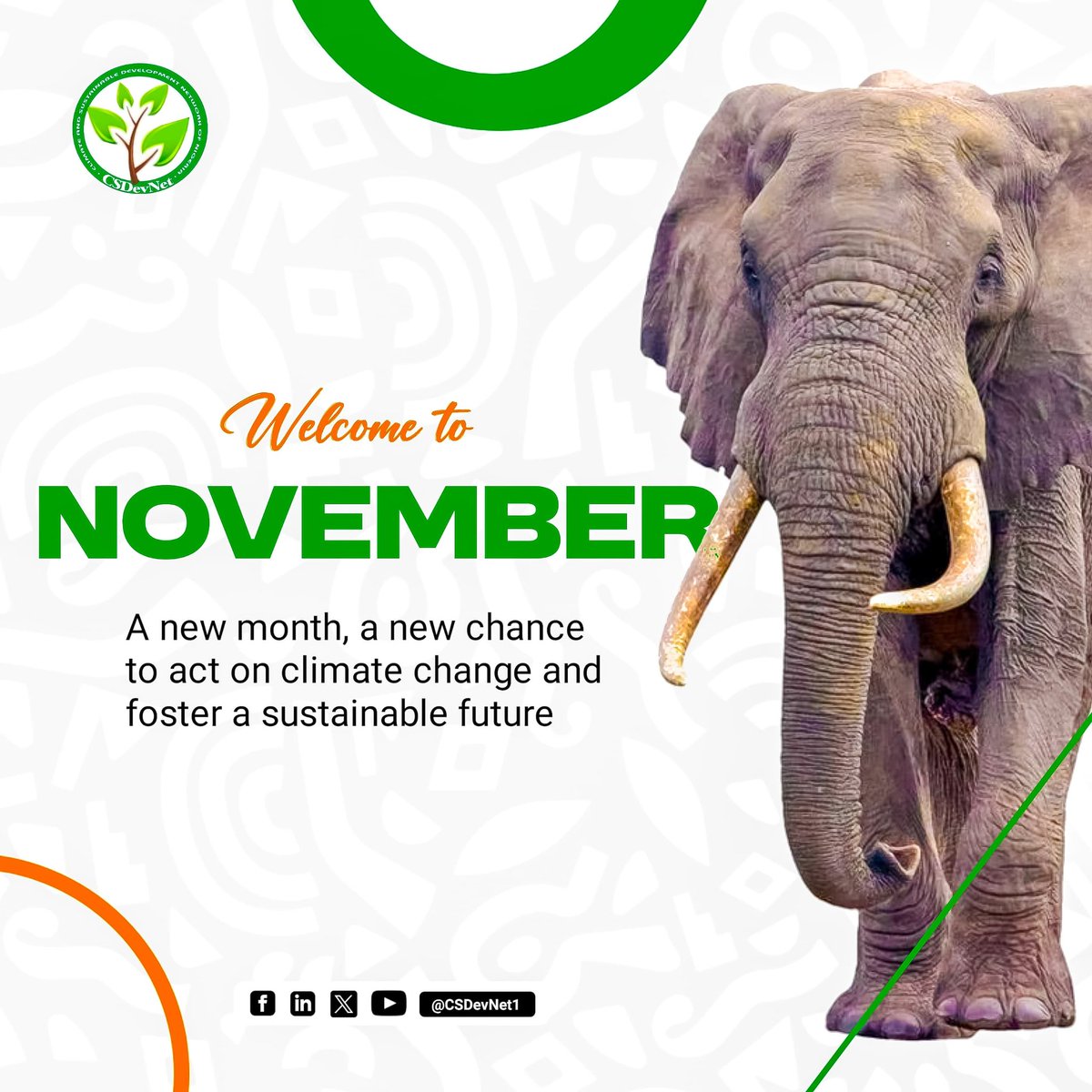 Welcome to November 🌍
A new month, a fresh chance to step up for our planet. 

Let’s use this time to renew our commitment to climate action, protect our environment, and work towards a sustainable future for all. Together, every action counts 🌱✨ #ClimateAction #ActNow