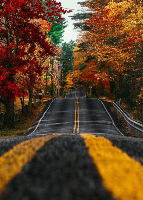 alper_ciler's tweet photo. ”Herkes bir yol tutmuş gidiyor, Allah‘a gitmeyen yol neye yarar"...
(Hz. Mevlânâ)

 #HayırlıCumalar🇹🇷 https://t.co/KzXj8GACzZ