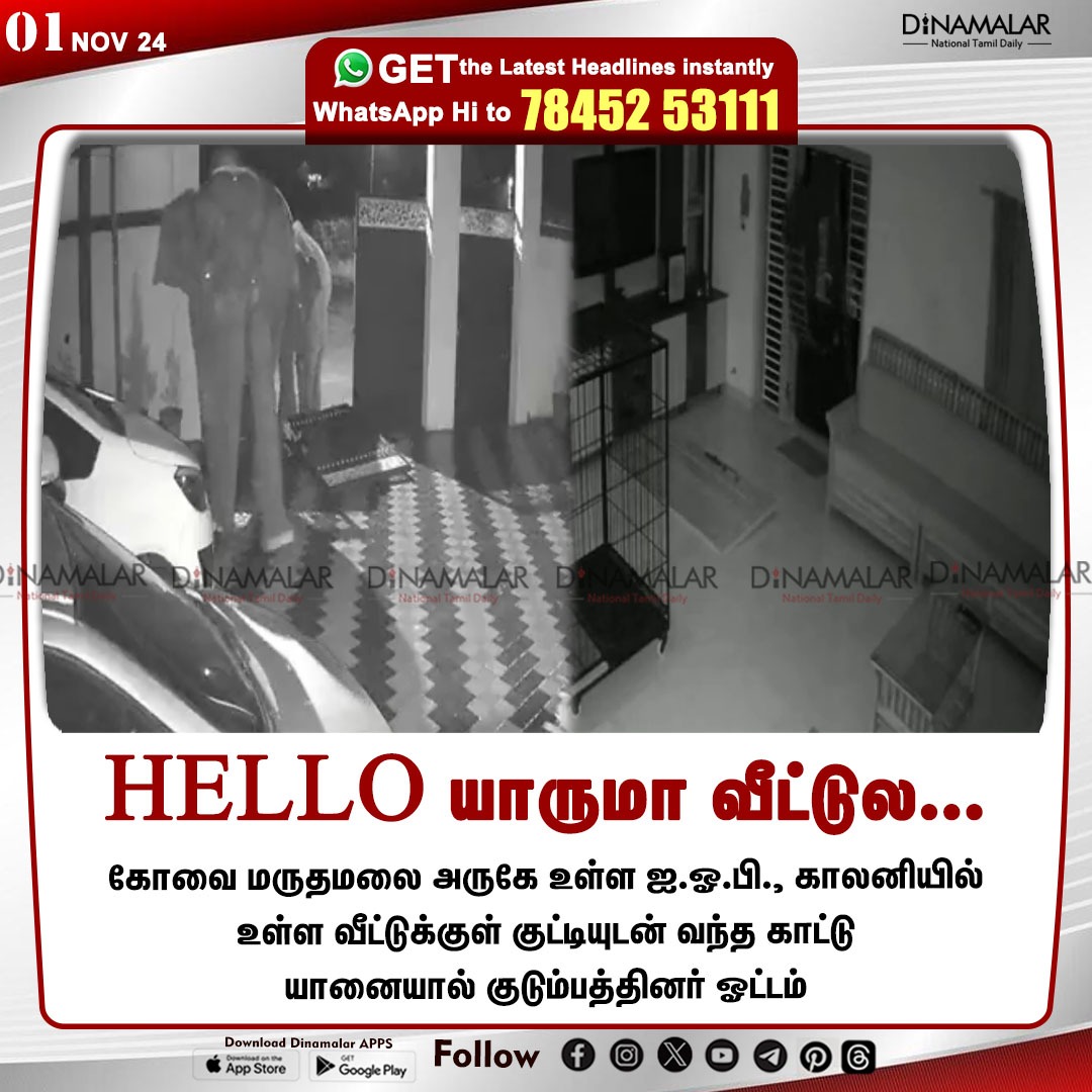 dinamalarweb's tweet photo. HELLO யாருமா வீட்டுல...
#elephants | #Coimbatore | #IOBColony | #Marudamalai | #TNForest
https://t.co/y4W3uzOWeZ https://t.co/v11k1N4yc7