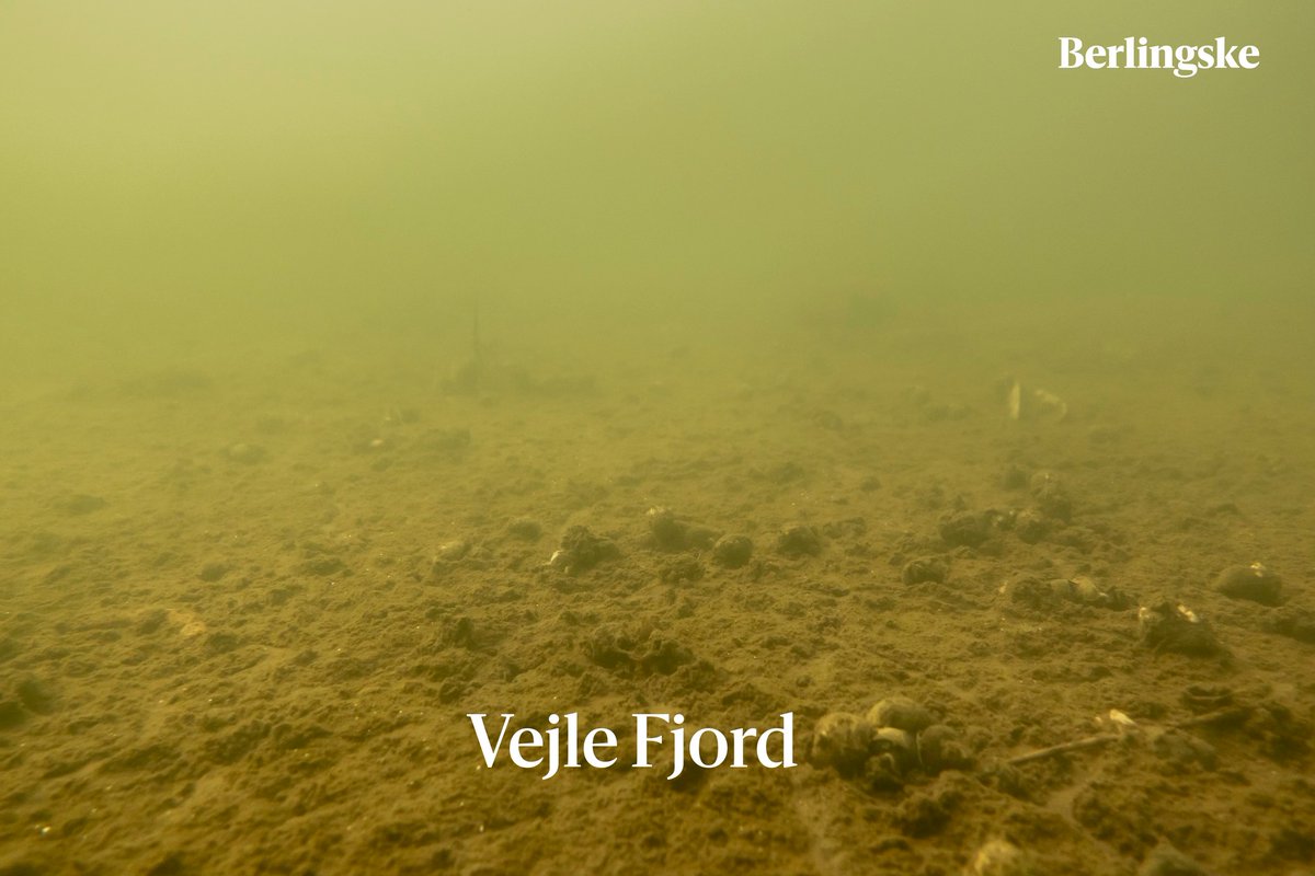 Alexander Holm tweet media