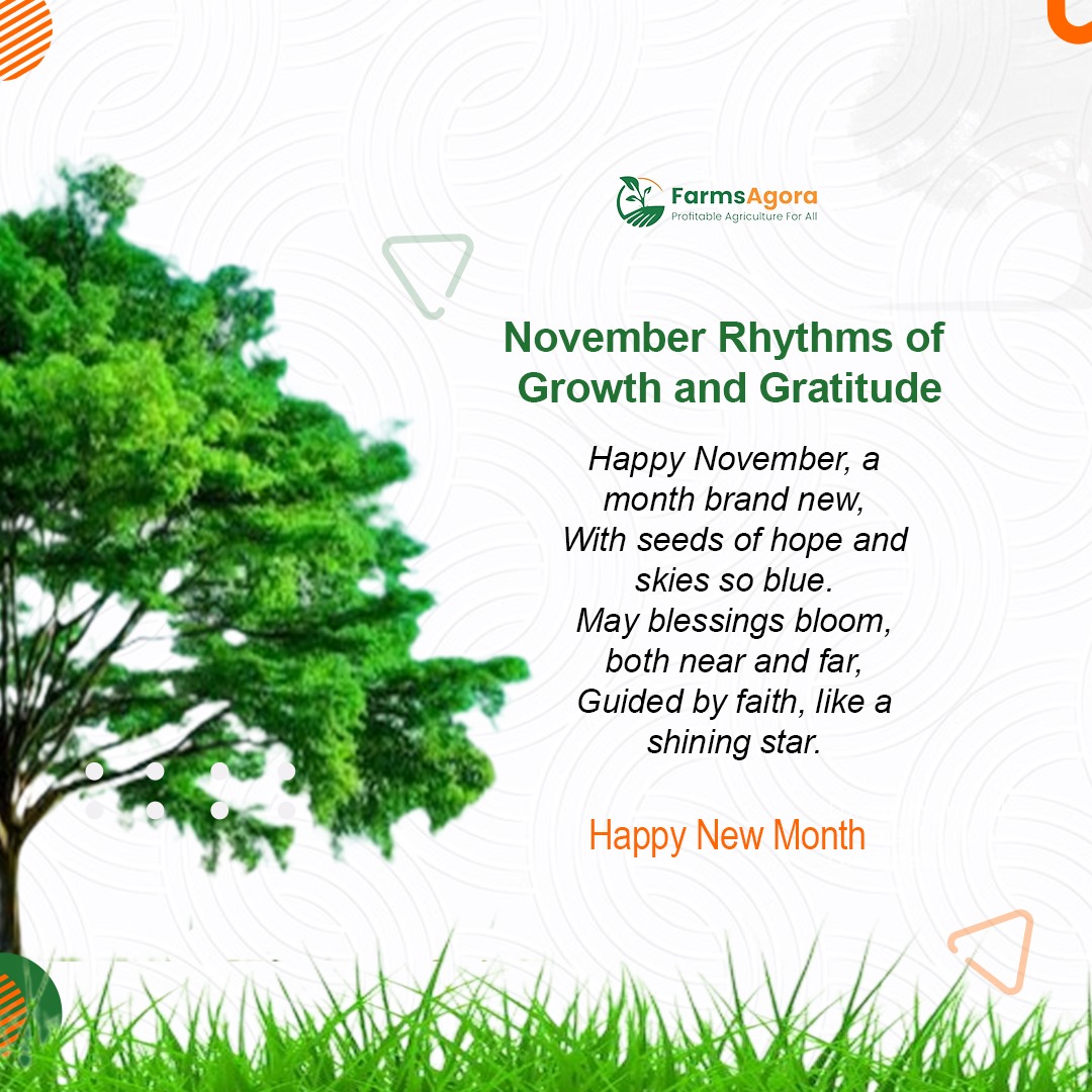 FarmsAgora's tweet photo. 🍂 *Hello November! A New Month Begins* 🍂
  
Happy November, a month brand new,  With seeds of hope &amp; skies so blue.  
May blessings bloom, both near &amp; far,  guided by faith, like a shining star.  

#NewMonth #NovemberBlessings #FaithAndGrowth #HarvestSeason https://t.co/of0rzznGbV