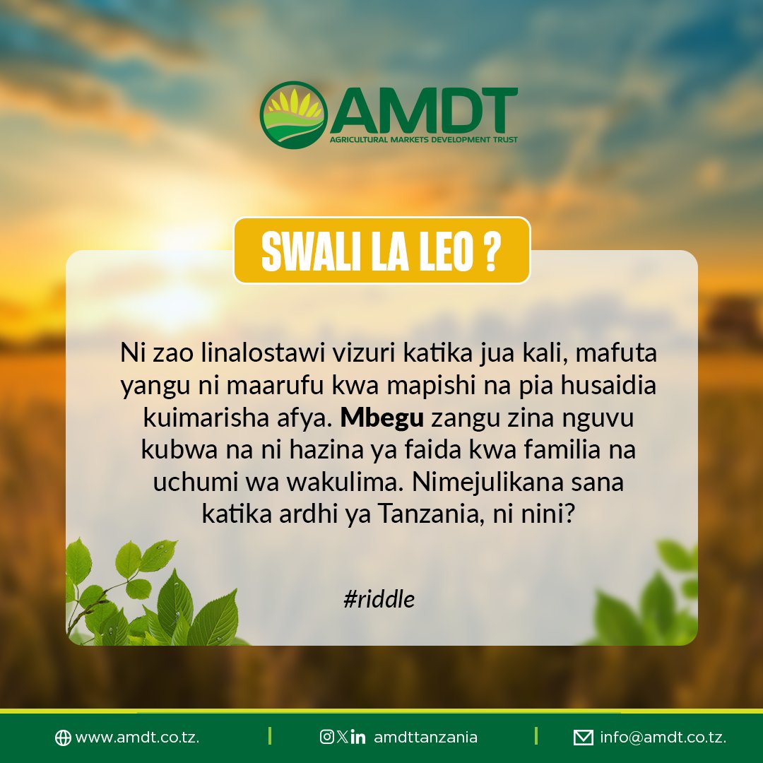 Comment Jibu Lako...?
.
#amdt #agriculture #Tanzania