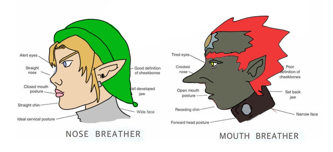 JaeAIK's tweet photo. So @SpeedyHawk731 and I were watching @Bismix4 play Ocarina of Time for the first time. We got to this part of the game and my god this model did NOT age well LMAO. https://t.co/lmhhPk4oCq