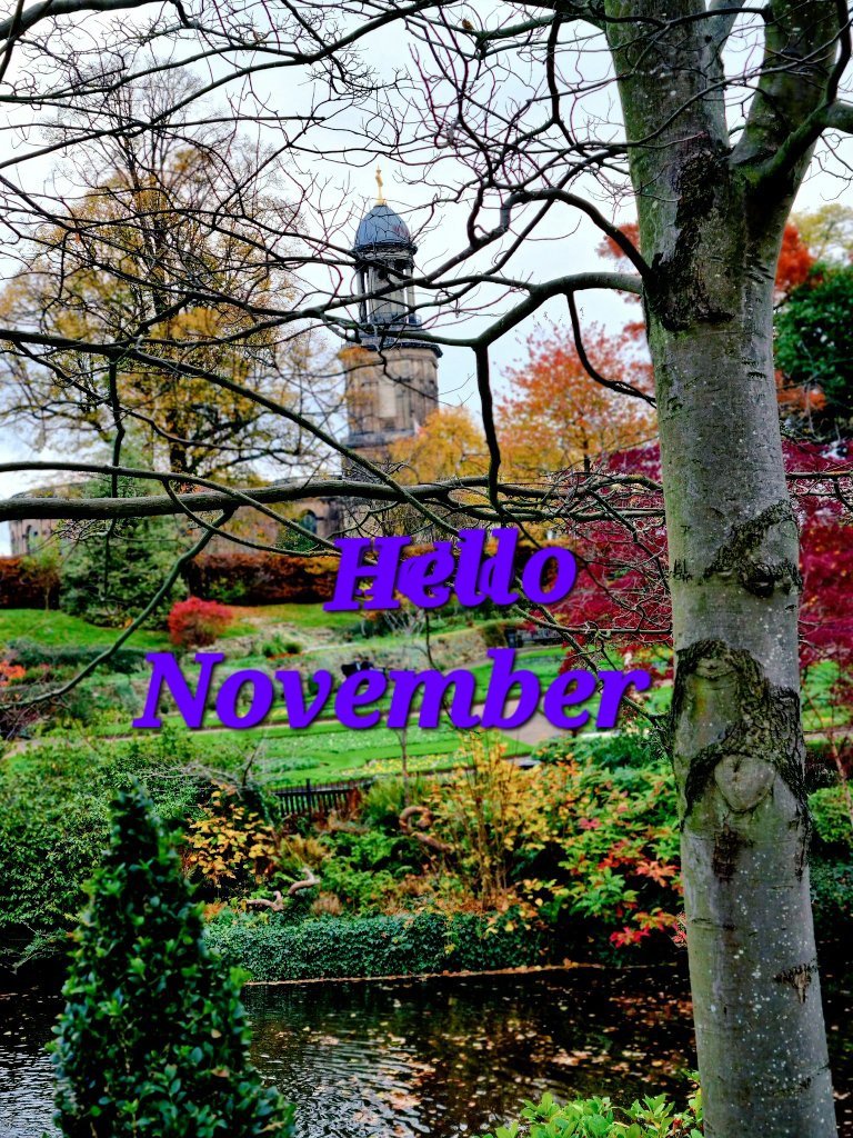 Lynda Jones tweet media