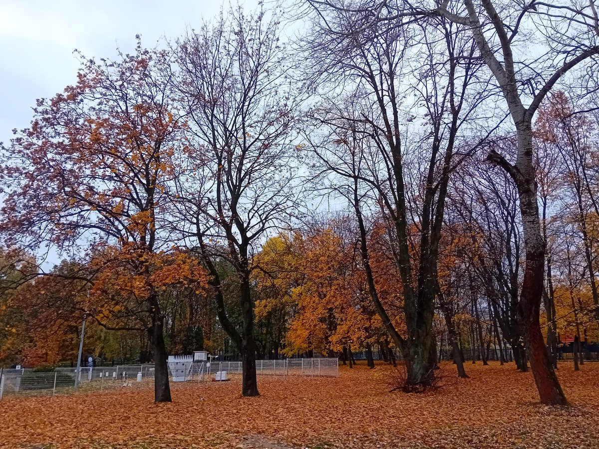 IMGWmeteo's tweet photo. 🍁Na przeważającym obszarze kraju, zwłaszcza na północy, warunki biometeorologiczne ulegną wyraźnemu pogorszeniu; dynamiczna pogoda z porywistym wiatrem bodźcowo wpływać będzie na organizm człowieka.
➡️https://t.co/zKHdnnxrU5

#IMGWmeteo #biomet https://t.co/eO2us0e2o4