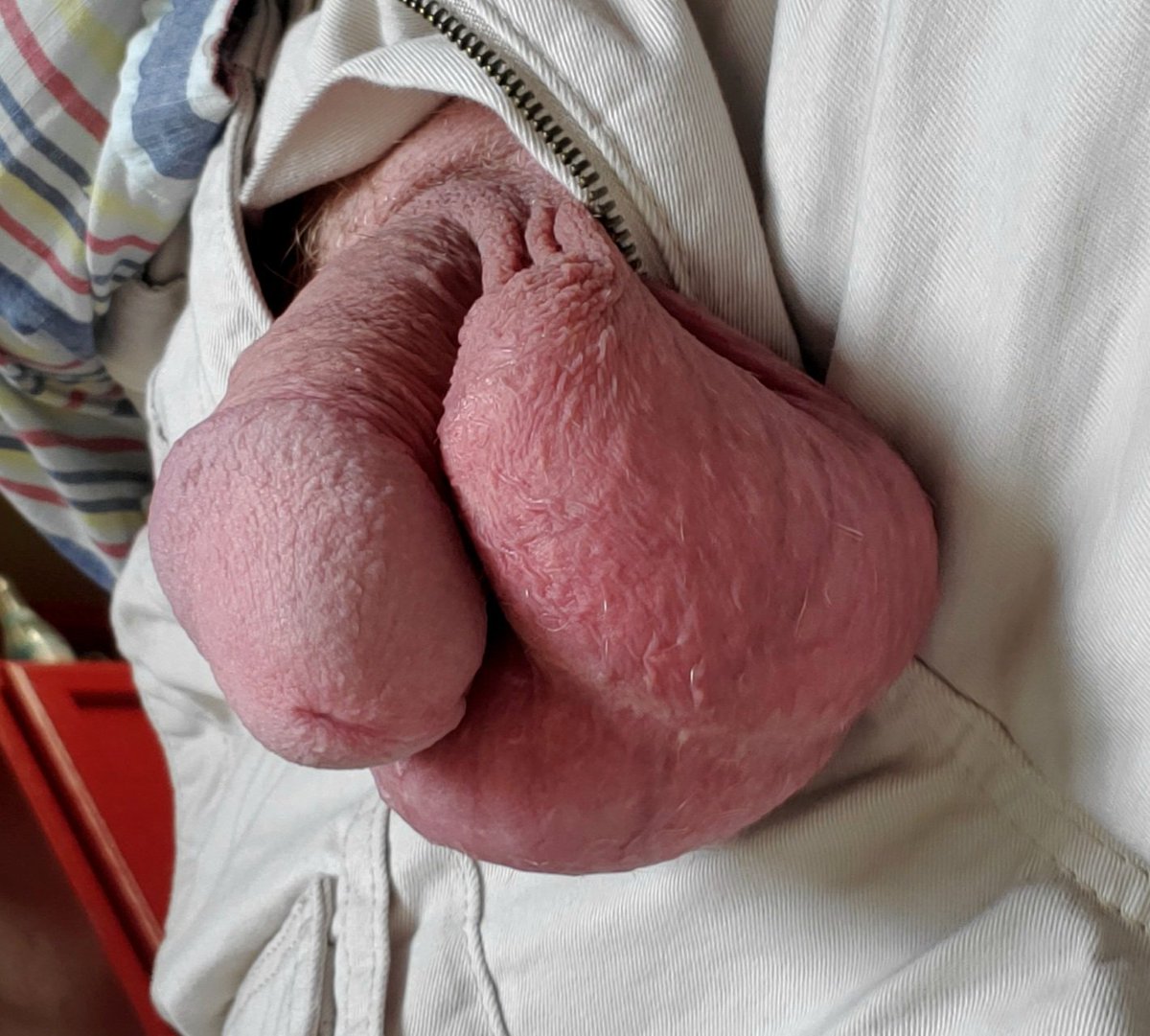 Old Grandpa's balls look delicious👅👅👅👅