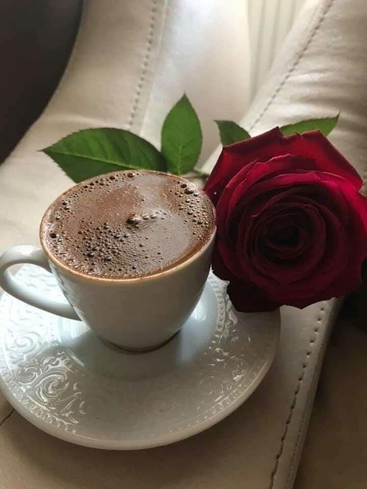 " دائماً هنالك أملٌ ، بأن يكون لنا في الغيب شيءٌ جميل يستحق منّا الإنتظار "
يسعد صباحكم 🌹