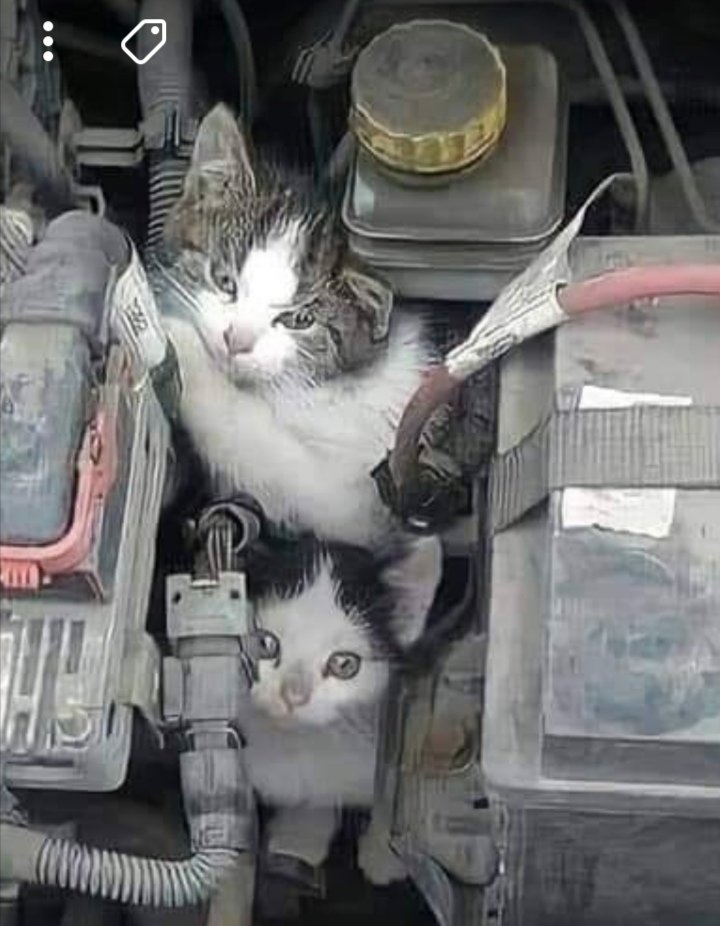 فهد بن غانم الغانم tweet media