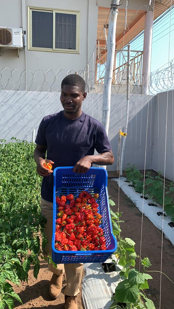 Defarmercist Alex Afari 🇬🇭 tweet media