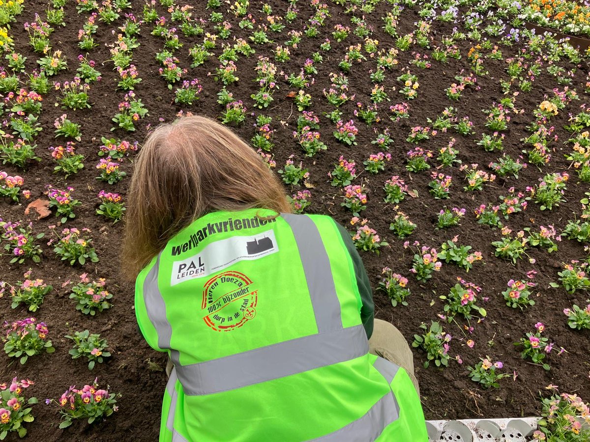 LatynNL's tweet photo. De Leidse sleutels liggen er weer fleurig bij…
‘Samen aan de slag’ als vrijwilligers - #Werfparkvrienden - met tuinmannen van de gemeente. Was erg leuk om te doen.
Ook leuk: het onderhouden van gedeelten van het park door vrijwilligers: 2e vrijdag van de maand, van 10-12 uur. https://t.co/yowEOIFFNe