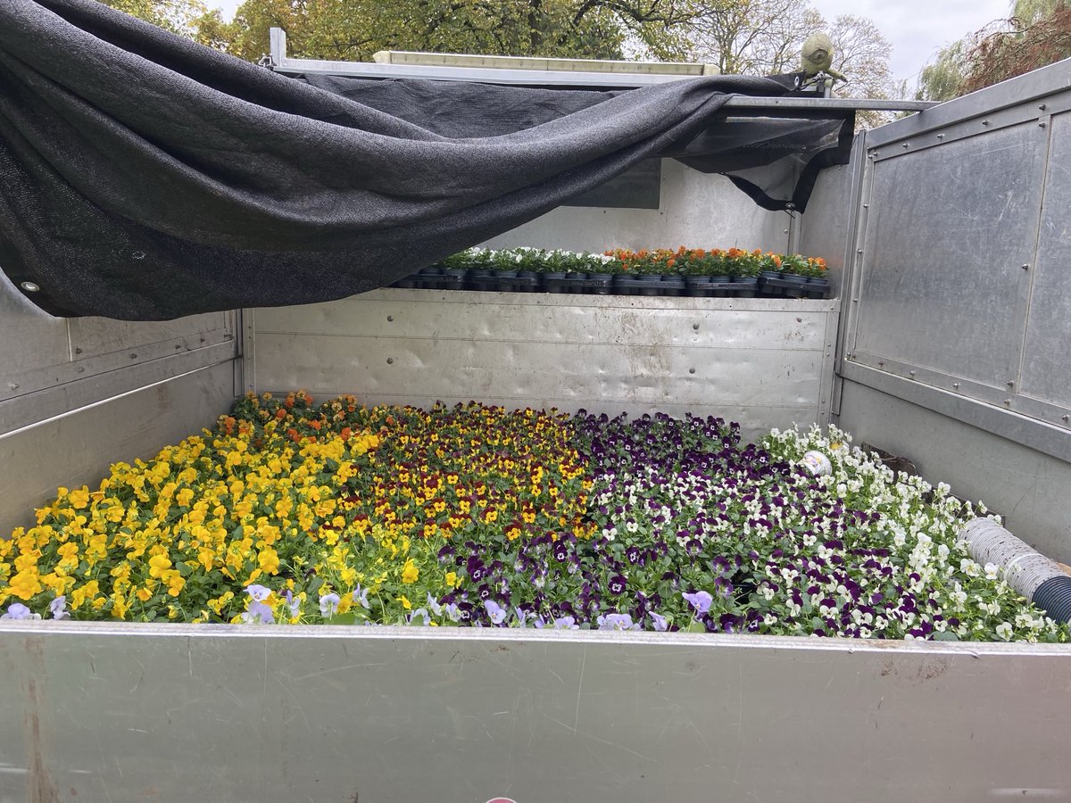 LatynNL's tweet photo. De Leidse sleutels liggen er weer fleurig bij…
‘Samen aan de slag’ als vrijwilligers - #Werfparkvrienden - met tuinmannen van de gemeente. Was erg leuk om te doen.
Ook leuk: het onderhouden van gedeelten van het park door vrijwilligers: 2e vrijdag van de maand, van 10-12 uur. https://t.co/yowEOIFFNe
