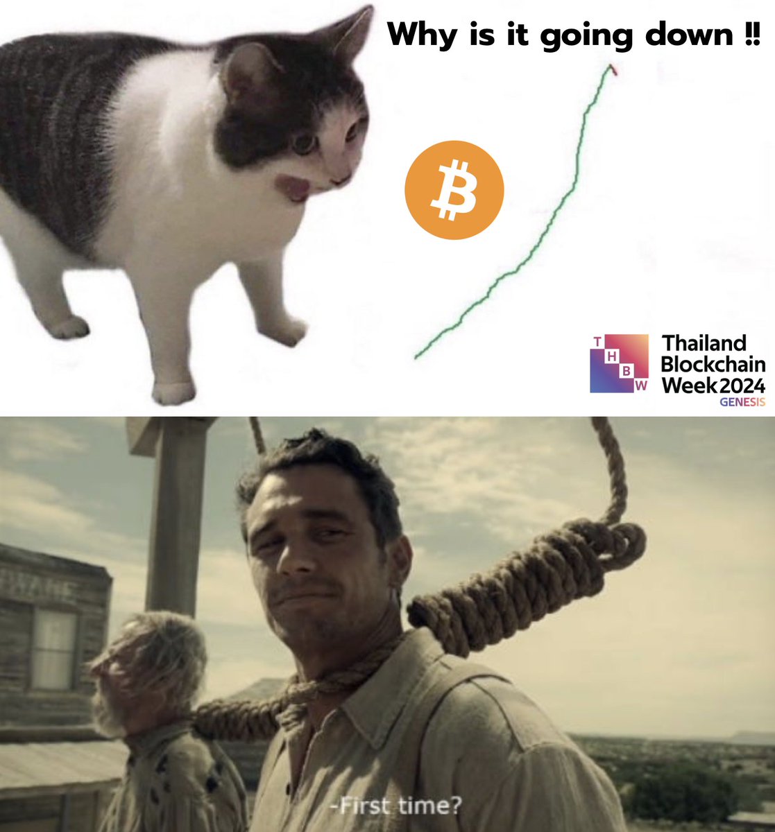 THBWOfficial's tweet photo. Supercycle is coming 🚀📈
Don't sell it too fast.
Don't be sidelined.
#THBW2024 #ThailandBlockchainWeek #BlockchainGenesis #Crypto #Web3 #Blockchain https://t.co/rnX7sHWZ48