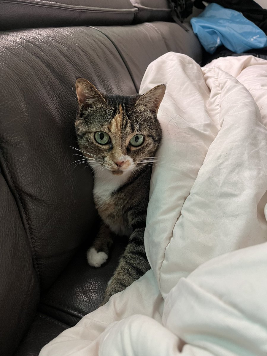 🐈덕진일보🐈 (@dailyduckjin) on Twitter photo 