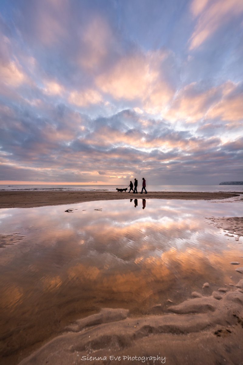 Beautiful light at Compton yesterday as the sun began to set