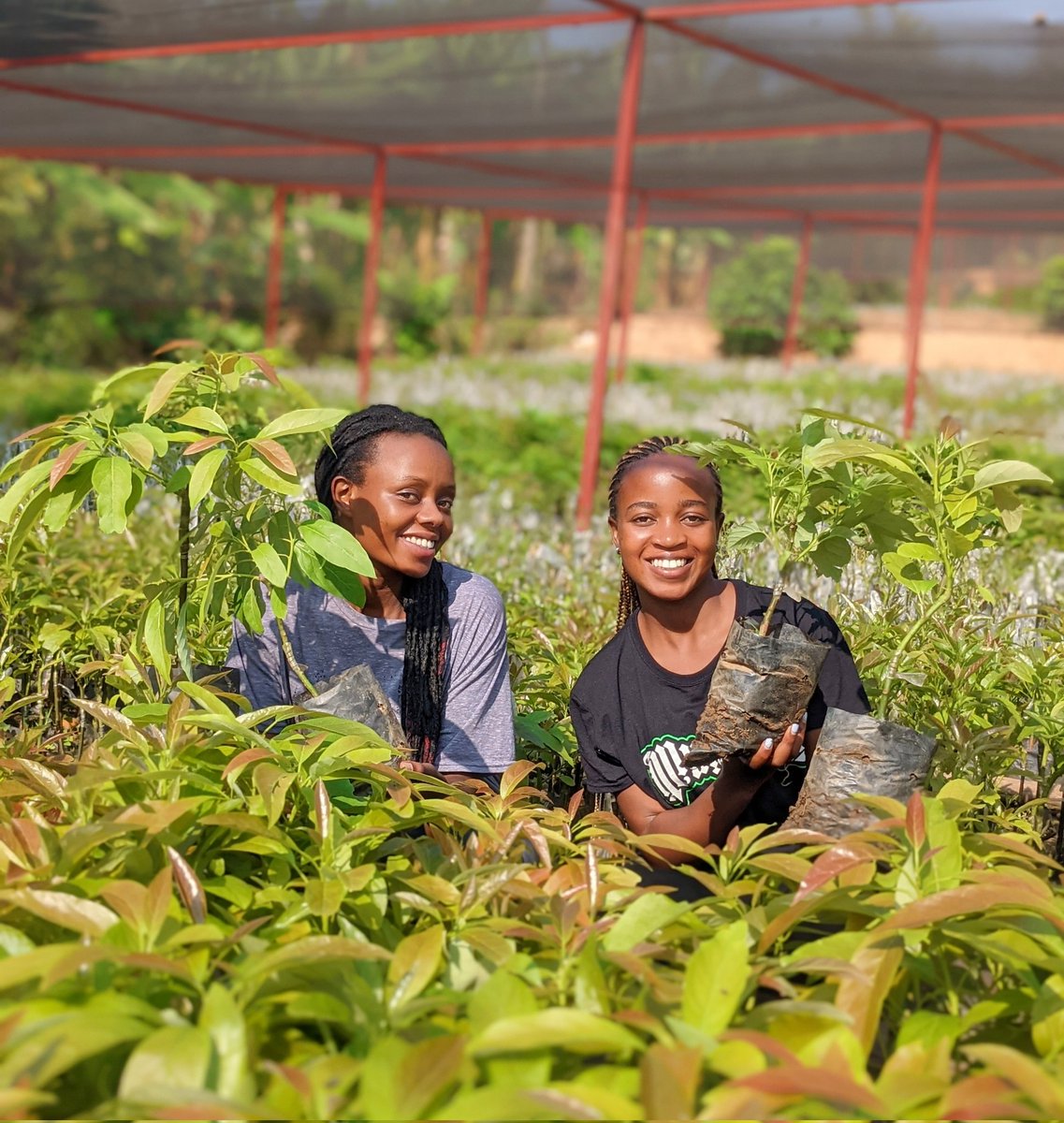 GreengoalR's tweet photo. The power to Regreen 🌳our world is in our hands ! 

At #GreenGoalHub, we champion the Vital role of youth and women to become environmental stewardship. 

Let's amplify our impacts and support their contribution in building a Greener world 🌎. #PlantTree #TogetherWeRestore https://t.co/m83LjZZmdb