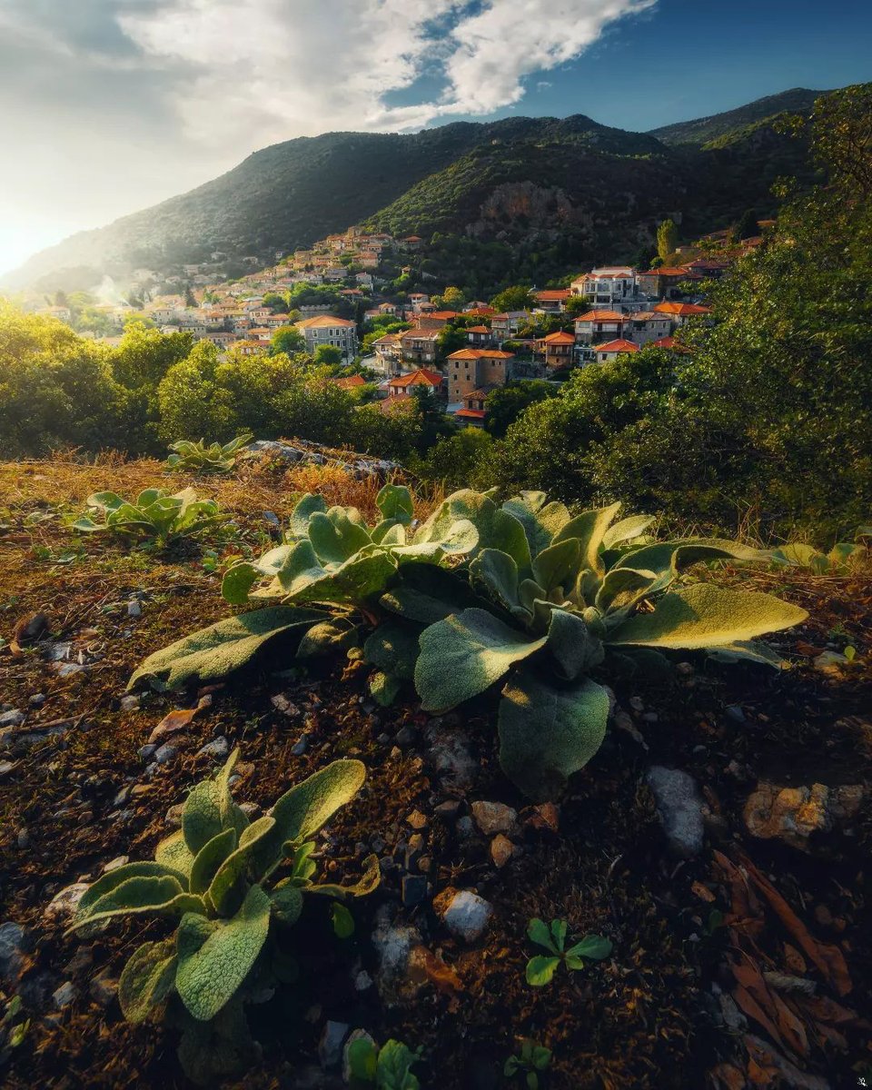 DiscoverGRcom's tweet photo. We’re kicking off November by satisfying your village cravings! #Stemnitsa is a village in the mountains of Arcadia, in the Peloponnese. It might be small but it radiates its aristocratic past on a big scale! 🍂 #discovergreece
🫴🏻 nkrmp (IG) https://t.co/NG6bw0uZVG