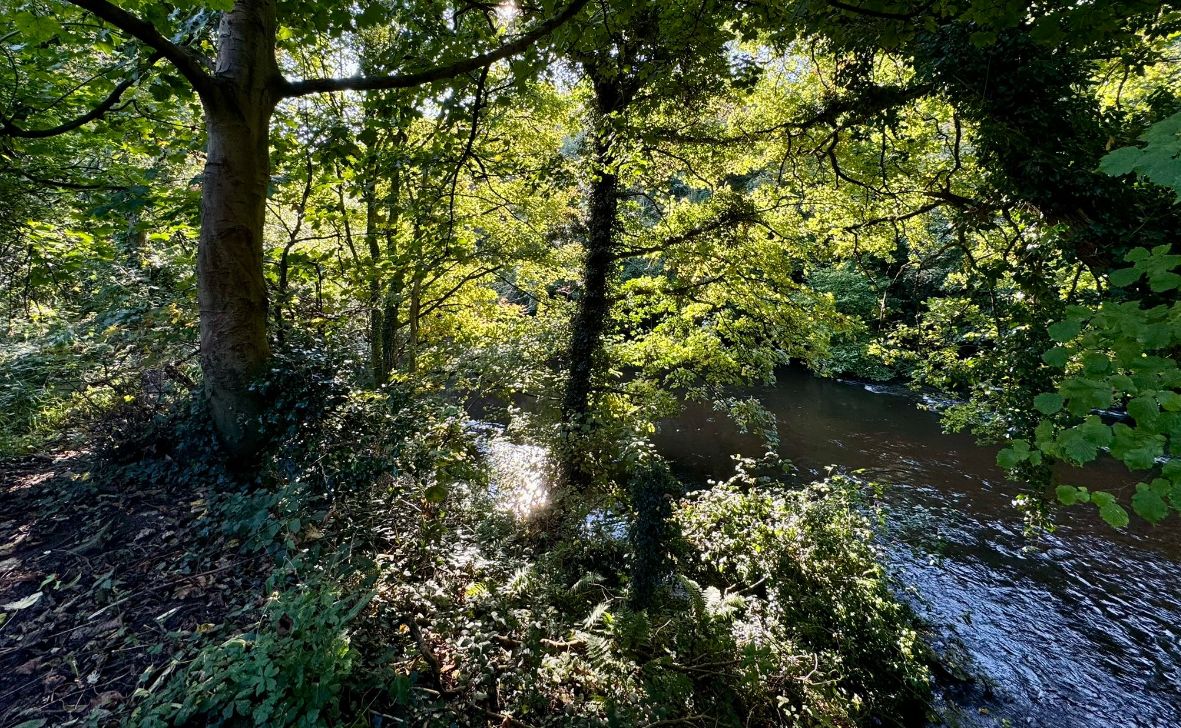 AgeUKStockport (@ageukstockport) on Twitter photo Join us tomorrow for a Saturday Social Walk 🚶♂️ Meeting point Life Leisure Hazel Grove, Jacksons Lane, Stockport SK7 5JW for a walk into Happy Valley.
No need to book. For more information see our website buff.ly/2IUnL9l
#CommunityHealth
#Wellbeing
<a href="/LifeLeisureUK/">Life Leisure</a> Join us tomorrow for a Saturday Social Walk 🚶♂️ Meeting point Life Leisure Hazel Grove, Jacksons Lane, Stockport SK7 5JW for a walk into Happy Valley.
No need to book. For more information see our website buff.ly/2IUnL9l
#CommunityHealth
#Wellbeing
<a href="/LifeLeisureUK/">Life Leisure</a>