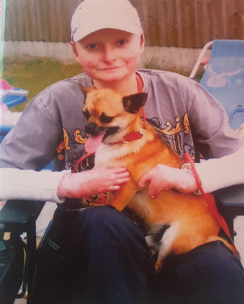 Alison Schofield tweet media