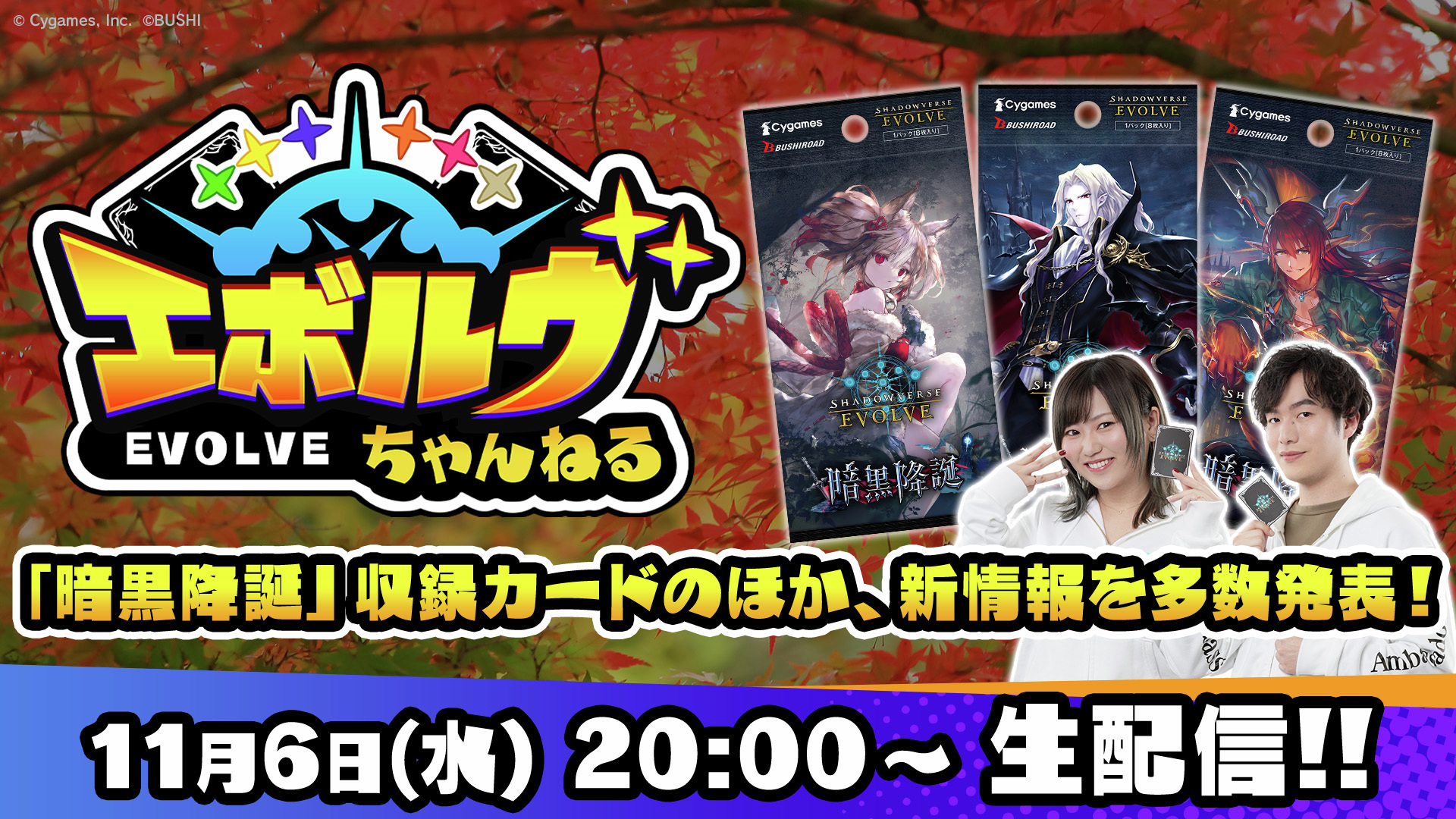 シャドウバースエボルヴ　エボルヴ　gcs 千葉　アイラ　プレイマット プレイマット『絆の竜剣士・アイラ(GCS千葉/イラスト違い)』【サプライ