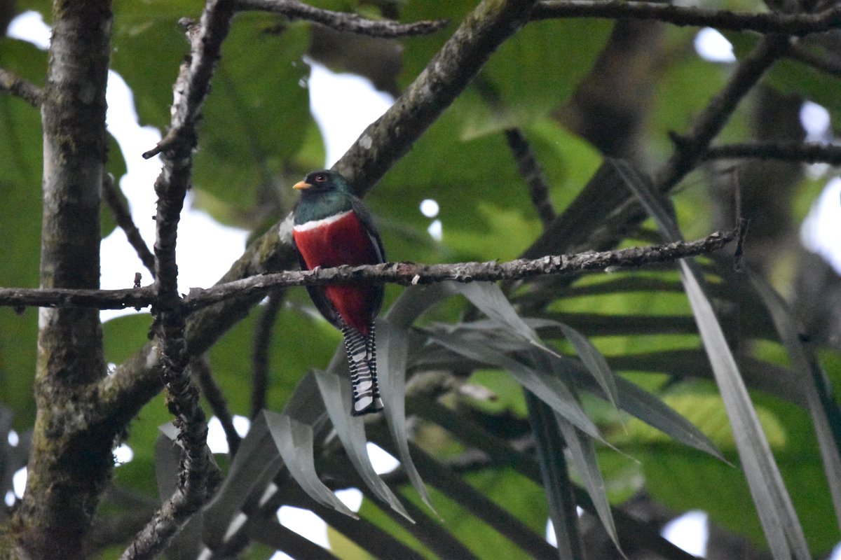 MScGlobalChange tweet media