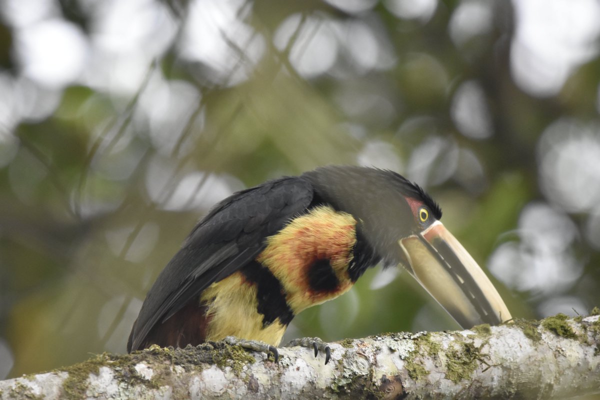 MScGlobalChange tweet media