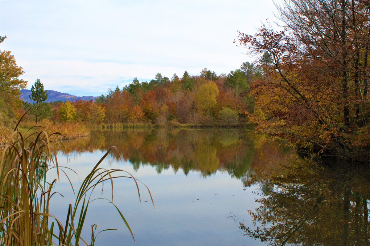 Parco dell'Aveto tweet media