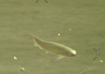 TheFiendFish tweet media