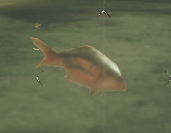 TheFiendFish tweet media