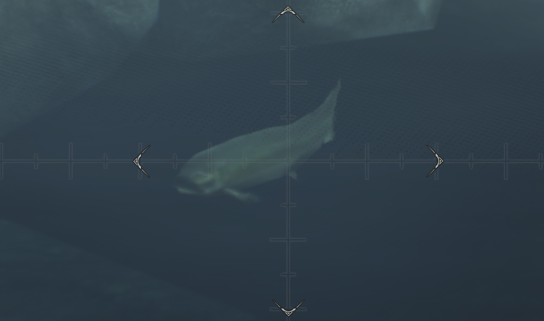TheFiendFish tweet media