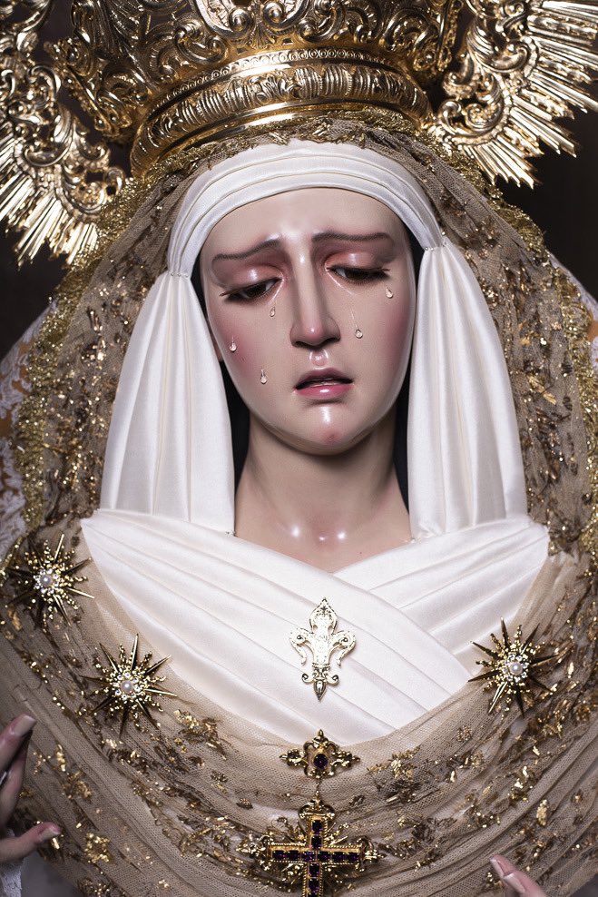 🟣 Reina de todos los Santos|| Para allanarnos el camino de la santidad, Dios nos propuso en nuestra Madre la Virgen un modelo de santidad.

🖋️José Iván Martín Pascual, Pbro
📸 Adrián Castillo

#SomosVictoria #TodosLosSantos
