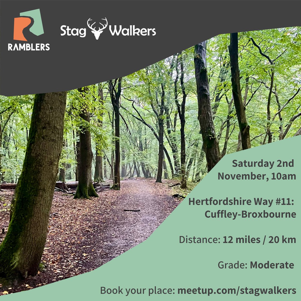 Stag Walkers tweet media