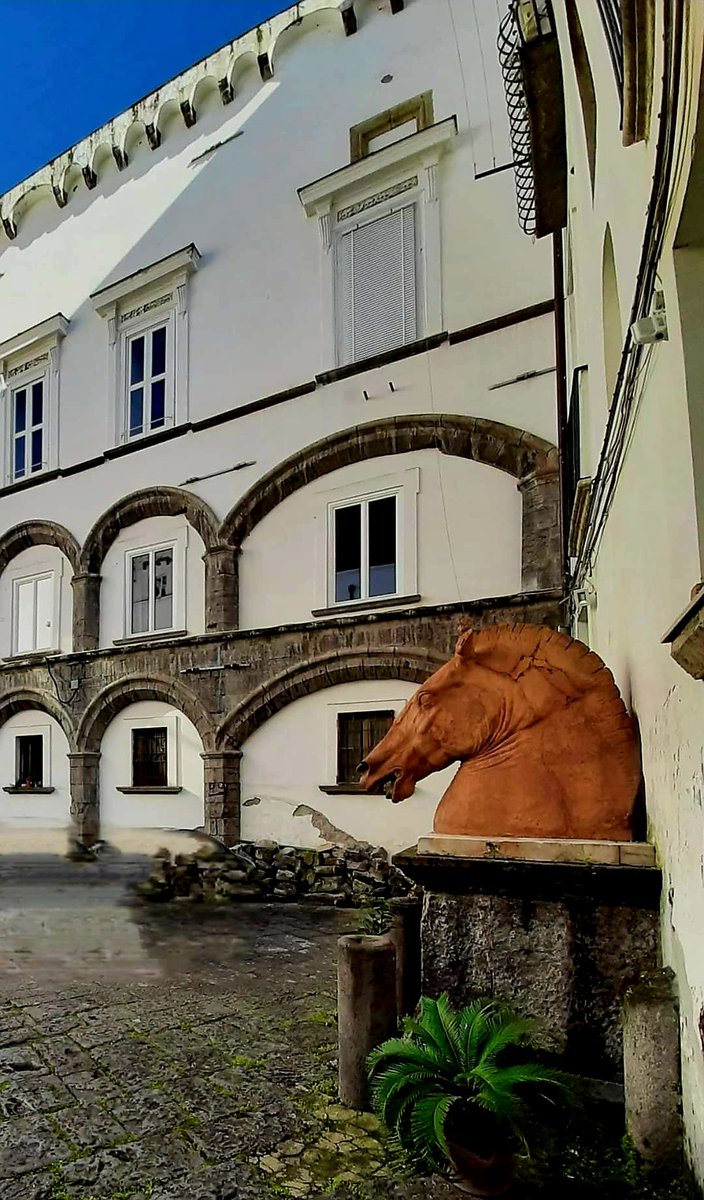 PetrelliFlavia's tweet photo. Napoli:cortile di #PalazzoDiomedeCarafa con la copia in terracotta della #testadicavallo di Donatello 🐎 https://t.co/3DaVdkscAB