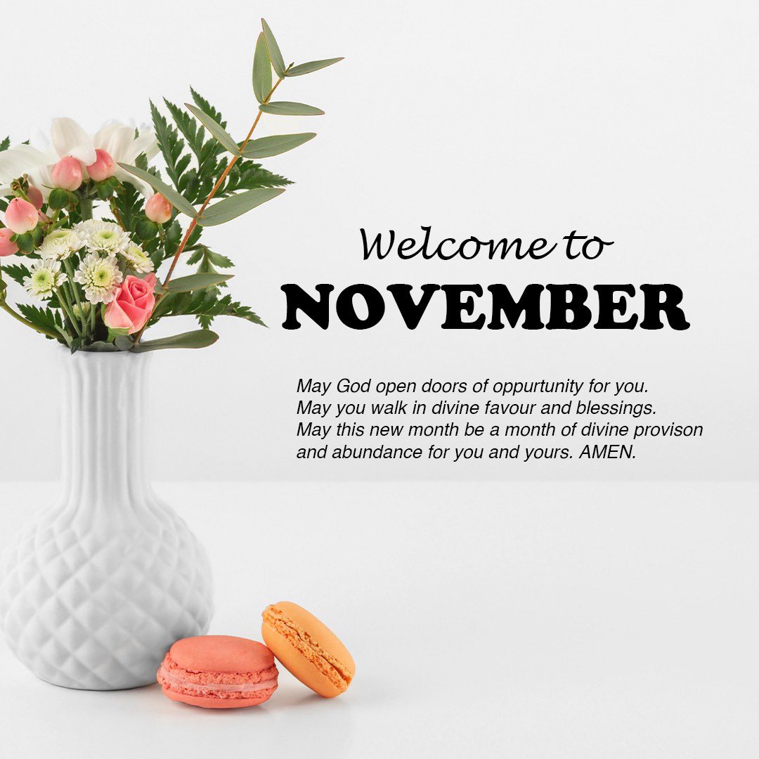 T_Designss's tweet image. Welcome to NOVEMBER 🖱️✨
#November #novembre #talents #skills #creative #GraphicDesigner #graphics #foryoupage #foryou