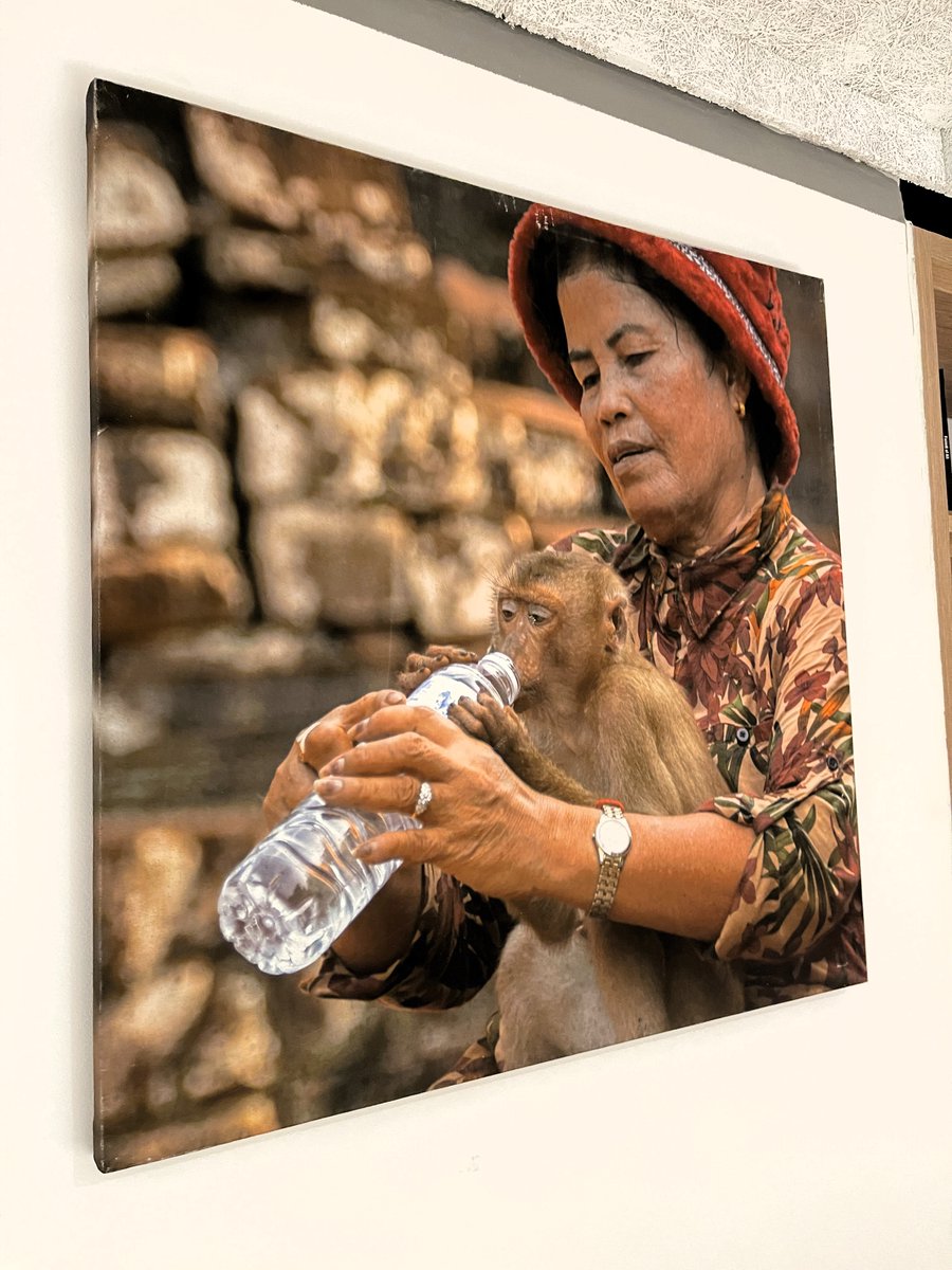 Siem Reap House tweet media