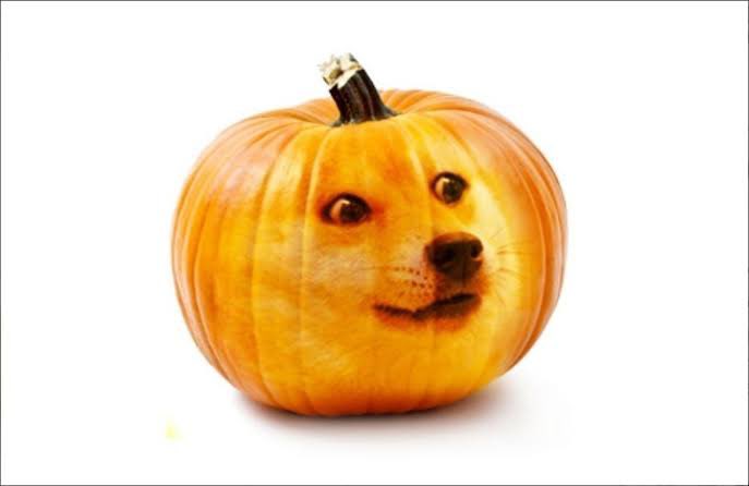 CardanoDogeCoin's tweet photo. 🎃👻 Happy Halloween from $DOGE coin #Cardano! 🐕💰

Much spook, very gains, such pumpkin! 🍬🦇 Ghostly meme magic and treats await—who’s ready for tricks on the blockchain? 🚀

Stay spooky, ADA fam! Drop your best 

Doge meme below! 

#DogeOnCardano #MuchWowADA https://t.co/P7unaglHVj