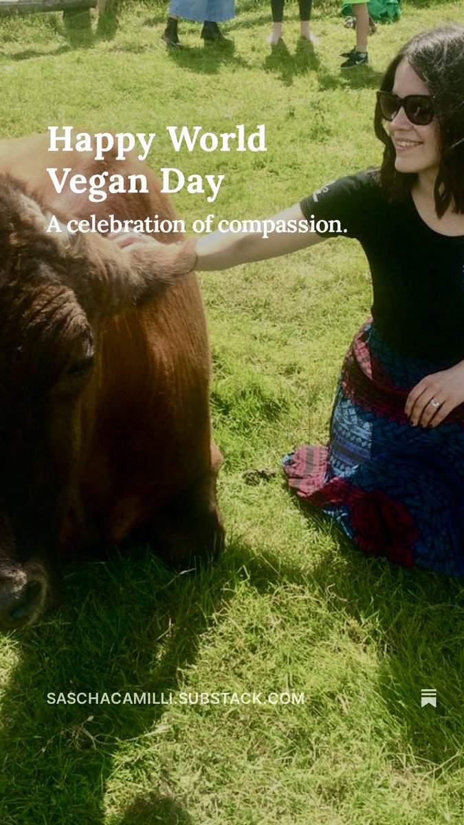 Happy World Vegan Day…

To those reading labels at the supermarket.

To those organising protests.

To those making vegan cupcakes for office potlucks.

To anyone who has ever pet a cow.

saschacamilli.substack.com/p/happy-world-…