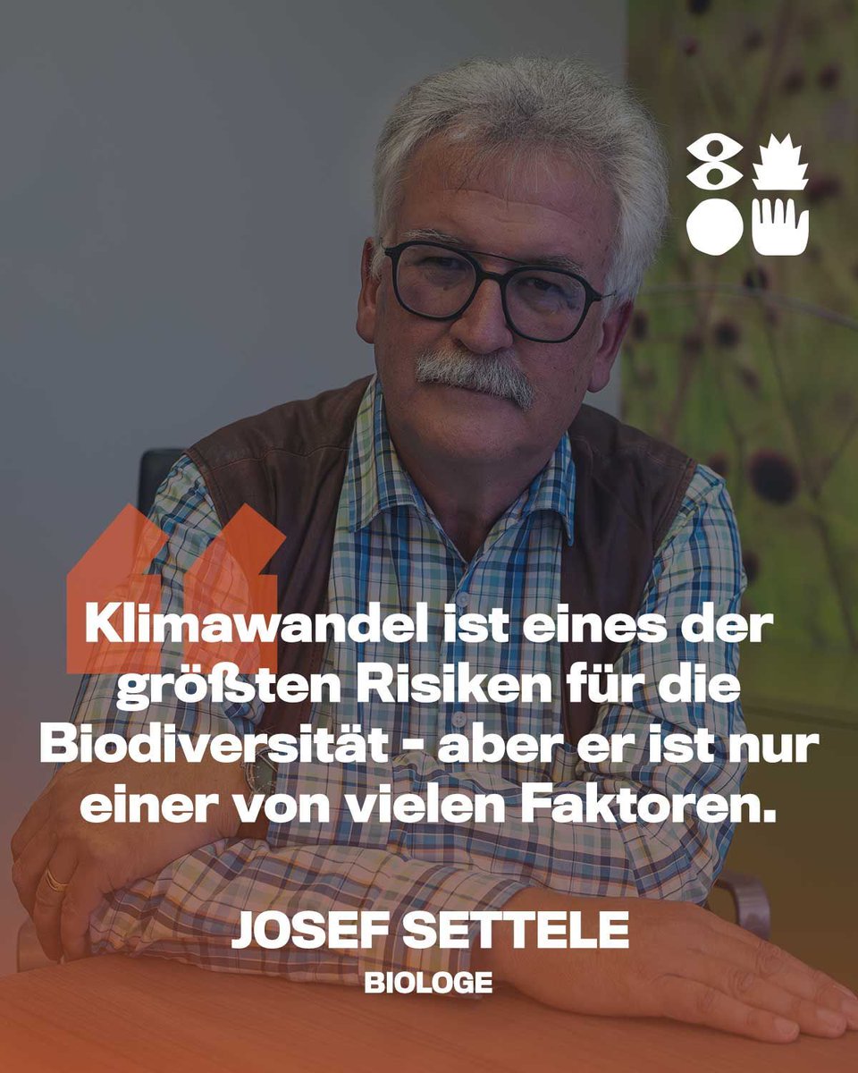 Der Rückgang der Artenvielfalt bedrohnt unsere Lebensgrundlage, meint Prof. Dr. Josef Settele, einer der führenden Experten, wenn es um #Biodiversität geht. Dabei ist der #Klimawandel nur ein Faktor von vielen, die diese Entwicklung weiter befeuern:
48f.de/settele