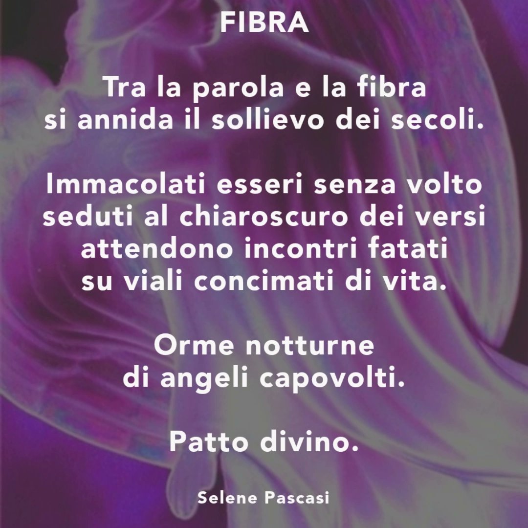 Da "A un ricordo da te" (Scrivere Poesia edizioni)

#angeli #angelo #scrivere #poetare #poesiaitaliana #poesiacontemporanea #poetiche #poesia #poeti #versi #libro #poetry #1novembre #santi #consiglidilettura #booklover #1novembre2024 #aunricordodate