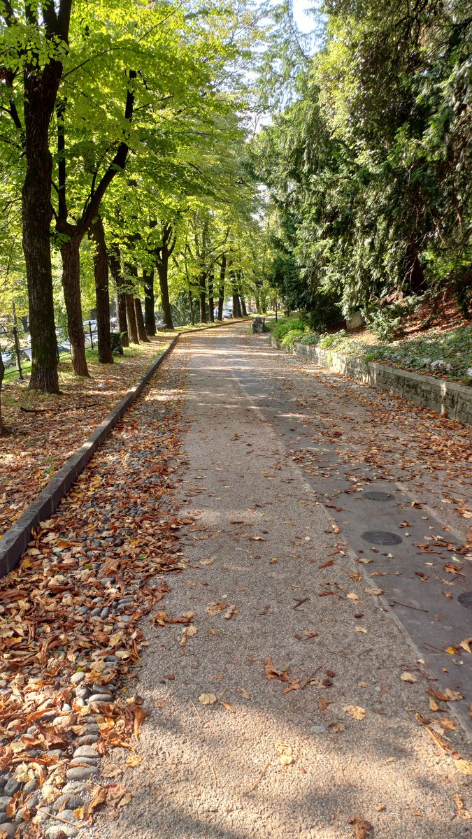 Hello November! 🍁🍃🍁
#Brescia #autumnfalls