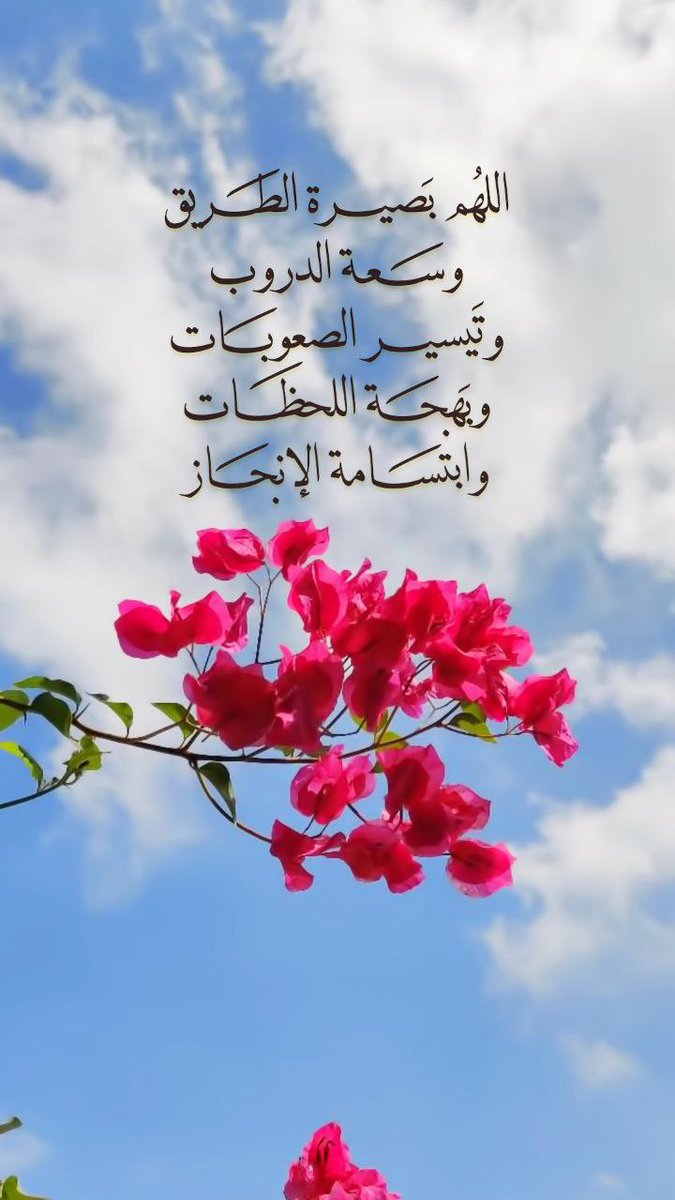 dreeem230's tweet photo. 🩵🌺
اللهُم بَصيرة الطَريق
وسَعة الدروب
وتَيسير الصعوبَات
وبَهجَة اللحـظَات
وابتسَامة الإنجَاز..🌿🤎
#صباح_الخير

#الوافي_رند_للتبادل https://t.co/eaEQnBEeDt
