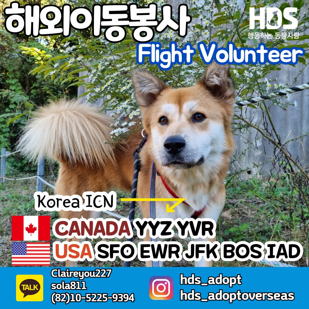 hdsppl's tweet photo. ✈️캐나다 미국 해외이동봉사 구해요✈️
* 언제 : 가능한 빨리(always)
* 어디 : 캐나다 토론토, 밴쿠버 미국 샌프란 뉴왁 뉴욕 워싱턴 애틀란타 보스턴 시카고 시애틀
* KakaotalkID : claireyou227 sola811
* C/P : 010-5225-9394 https://t.co/3PhHxorOmZ